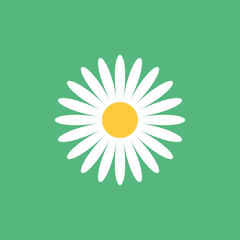 Daisy chamomile icon in flat style. Flower vector illustration on isolated background. Floral sign business concept. - 790025531