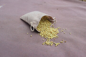 Seeds of Flax in a sack of isolated on a white background. Flax in a burlap sack. Healthy food. Flax in a jute bag. Vegan food. dried coriander