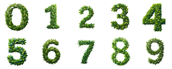 Fresh Leafy Numbers Collection, set of floral layout numbers  made from fresh green leaves isolated on white background	