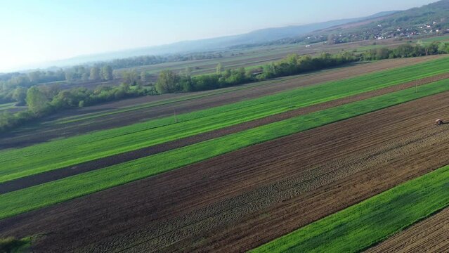 Agricultural land filmed from the air. Plots of arable land and green strips - cereal crops.