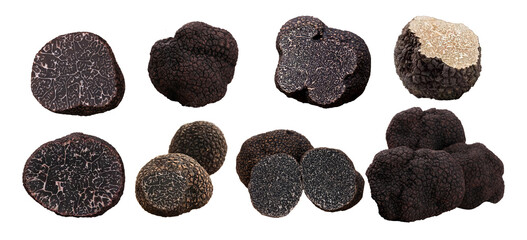 Black truffle PNG collection, truffle photo elements