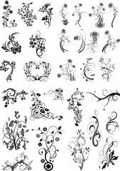 vector decorative ornament, 