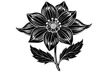 Delphinium vector silhouette 