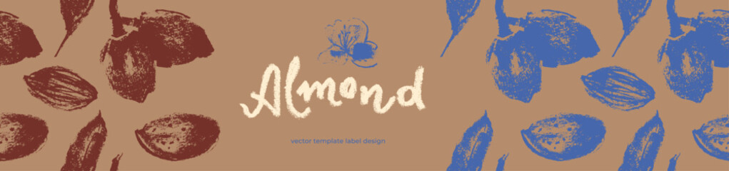 Almond banner background or label template design. Organic almond pattern with almond nuts crayon drawings. Almonds packaging or marzipan paste tag design. Vector botanical background.