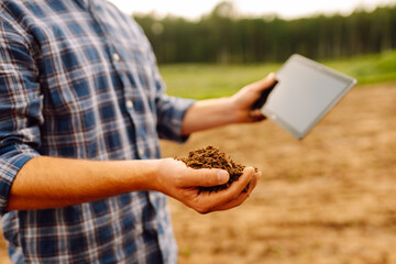 The male hands of an agronomist sort through and check the quality of the soil. Smart farm. ...