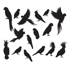 set of silhouettes of birds