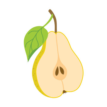 Sliced juicy pear. Fresh pear with leaves. Modern flat illustration chopped pear, fruits, healthy eating. Isolated on white half pear. Vector illustration