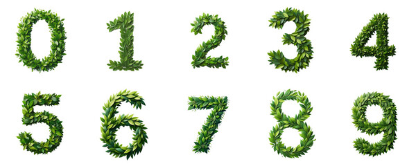Fresh Leafy Numbers Collection, set of floral layout numbers made from fresh green leaves isolated on white background
