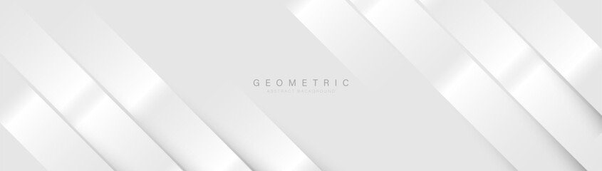 Abstract white geometric diagonal lines background. Modern clean minimal pattern banner. Vector illustration