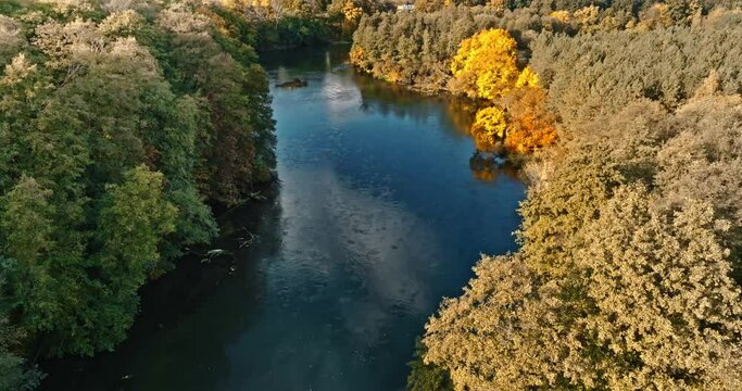 Tree in river Brda at autumn. Aerial view of wildlife.