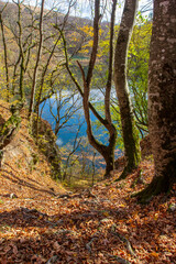 autumn day on a mountain lake of karst origin surrounded by a yellowing forest