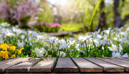 
wooden platform, spring, spring landscape, flowers and flower bulbs, colorful landscape, orchard, bokeh
