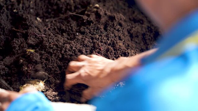 Fertilizer from vermicompost. Organic fertilizer.