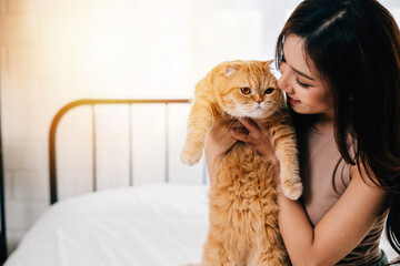 In this close-up, a woman lovingly holds her cute long-haired kitty, a beautiful orange Scottish...