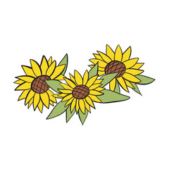 sunflower on white background - 790061386