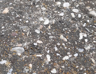 Dirt texture with pebbles stones and lichen, dirty ground material
