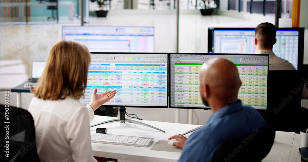 Poster analyst employee working on spreadsheet