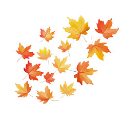 An array of fall leaves, showcasing a vibrant gradient from golden yellow to deep rust, methodically aligned on a pristine white surface, top view capture, watercolor, transparent