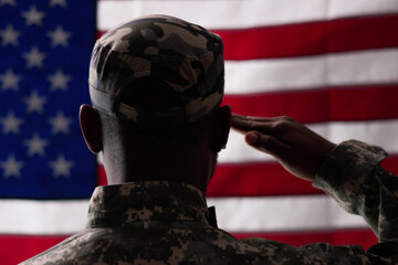 Rear View Of Military Man Saluting Us