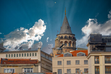 Fototapety na wymiar - Fototapeta24.pl