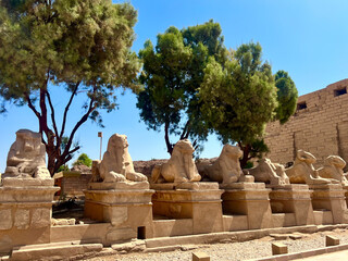 ruins of the Karnak temple