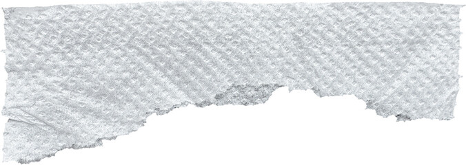 White Ripped Perforated Toilet Paper Piece