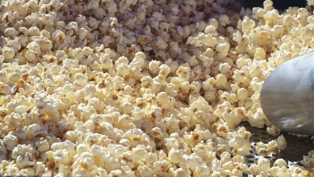 Popcorn homemade in fry pan, popcorn popping in hot cooking oil, popcorn seed exploding, Extreme close up