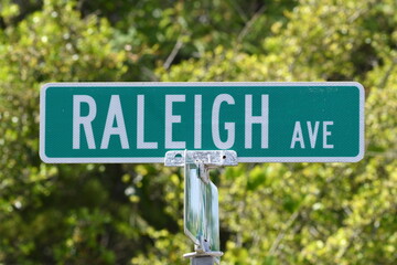 A green and white road sign that says Raleigh Ave - Powered by Adobe