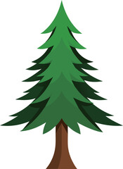 Illustration of a pine tree isolated on vector flat style