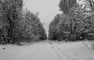 Gloomy winter landscape on the outskirts, small town, village, evening, mood, scary, dangerous, Ukraine, cold, a lot of snow