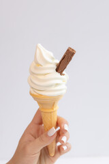 Ice Cream Treats to Beat the Heat ☀️🍦99 Flake