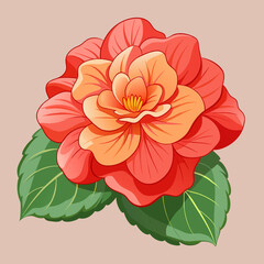 Begonia vector illustration 