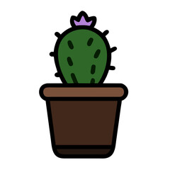 cactus in a pot