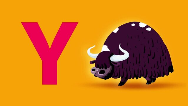 Y letter big color like yak cartoon animation. Animal loop. Educational serie with bold style character for children. Good for education movies, presentation, learning alphabet, etc...