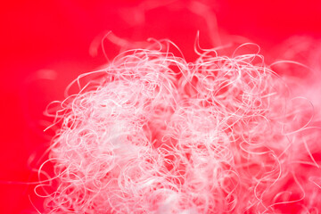 Extreme macro of polyester stable fiber on red background