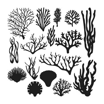 Scalable seaweed clip art in black and white for web design projects