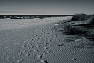 A symphony of footprints adorns the sand, each imprint a silent testament to journeys unknown....