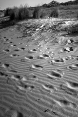 A symphony of footprints adorns the sand, each imprint a silent testament to journeys unknown. Shadows play softly, casting an enchanting veil over the scene, inviting contemplation and wonder