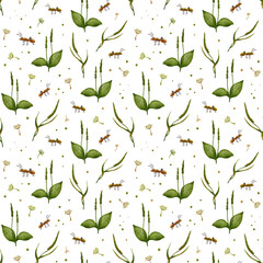The ant and the plantain. Watercolor seamless pattern with insects, dandelion and plantain. For packaging, textiles, stationery and scrapbooking.
