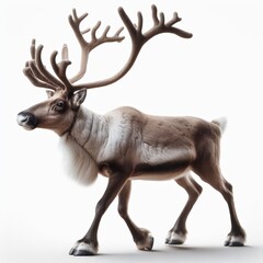 Image of isolated Reindeer against pure white background, ideal for presentations
