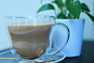 ミルクティーと植物