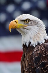 Obraz premium Bald Eagle profile American flag backdrop