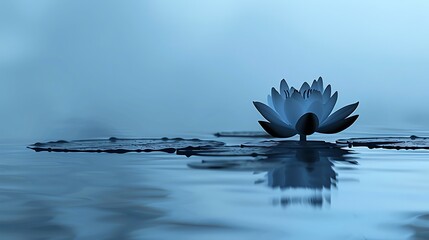 A beautiful blue lotus flower floats on the water.