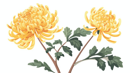 Elegant yellow Japanese chrysanthemum with stem and l