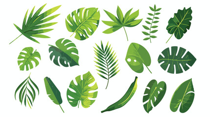Exotic leaf set. Tropical jungle leaves. Green foliag - obrazy, fototapety, plakaty