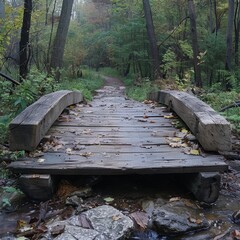 A wooden bridge with a rock foundation crosses a small stream in a forest.