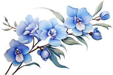 A branch of blue orchid flowers, illustration isolated on transparent background