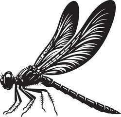 Dragonfly silhouette, vector illustration