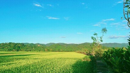 Processed with VSCO with aga2 preset