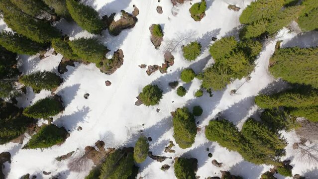 Top Down Ansicht Wanderweg im Wald im Winter mit Fussspuren im Schnee